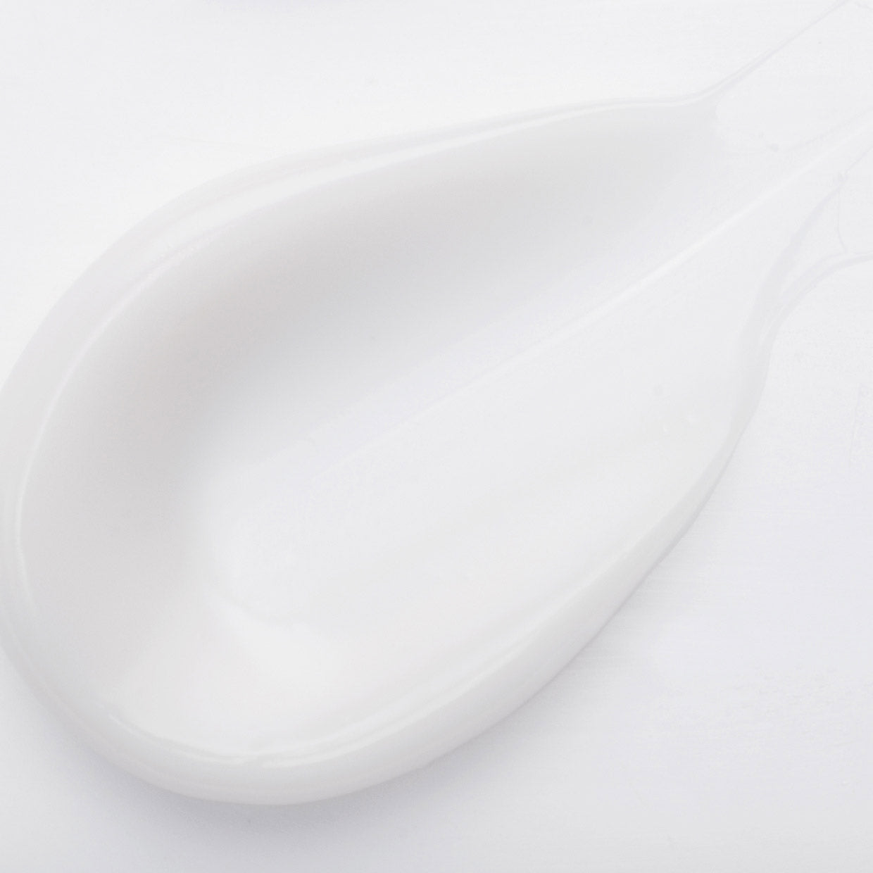 Daily Defense Cream with Sunflower & Echinacea 50ml